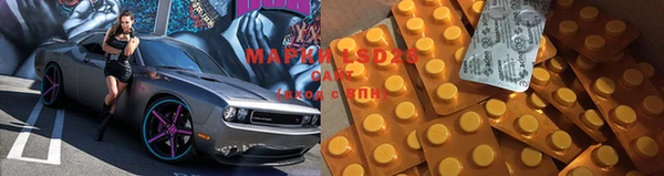 прущие грибы Беломорск
