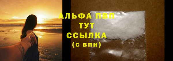 индика Бронницы