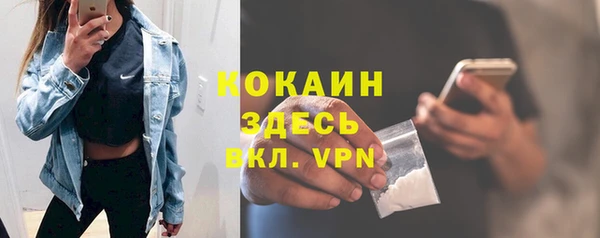 индика Бронницы