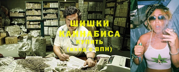индика Бронницы