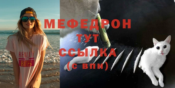 индика Бронницы
