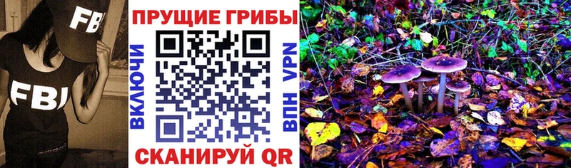 мориарти официальный сайт  Сретенск  Псилоцибиновые грибы Psilocybe  дарнет шоп 